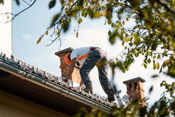 Best Roof Waterproofing Services  in Farm Loop, AK