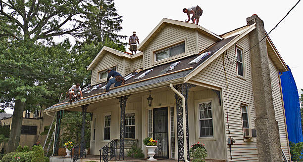 Best Roof Restoration Services  in Farm Loop, AK